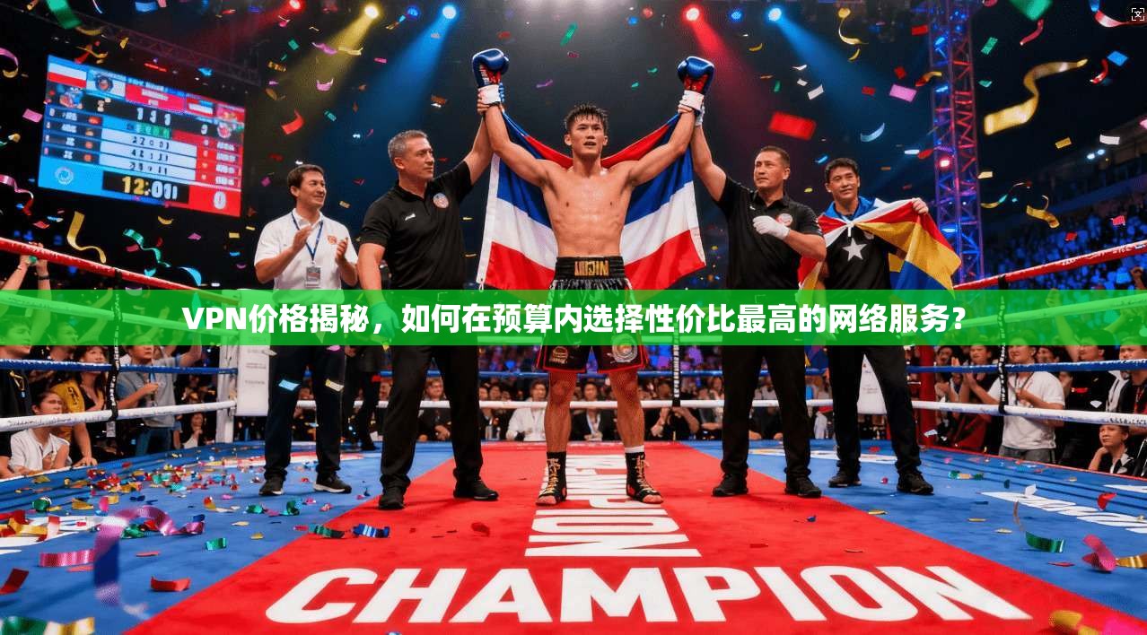 VPN价格揭秘，如何在预算内选择性价比最高的网络服务？