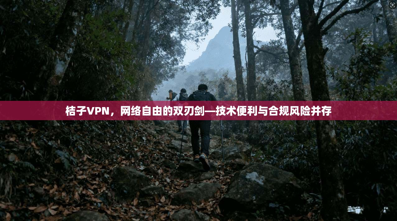 桔子VPN，网络自由的双刃剑—技术便利与合规风险并存