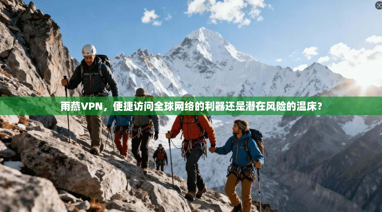雨燕VPN，便捷访问全球网络的利器还是潜在风险的温床？