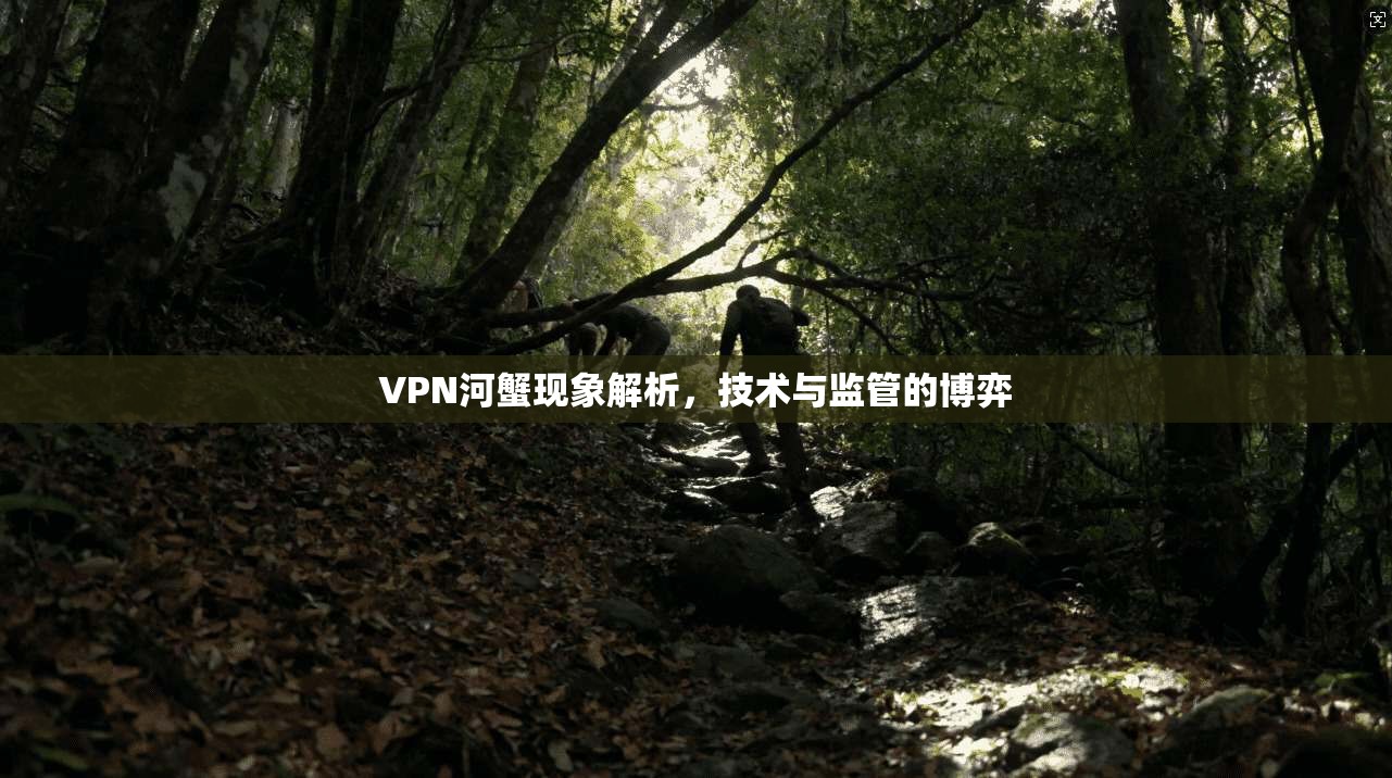 VPN河蟹现象解析，技术与监管的博弈