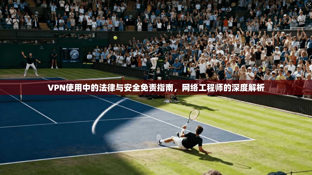 VPN使用中的法律与安全免责指南，网络工程师的深度解析