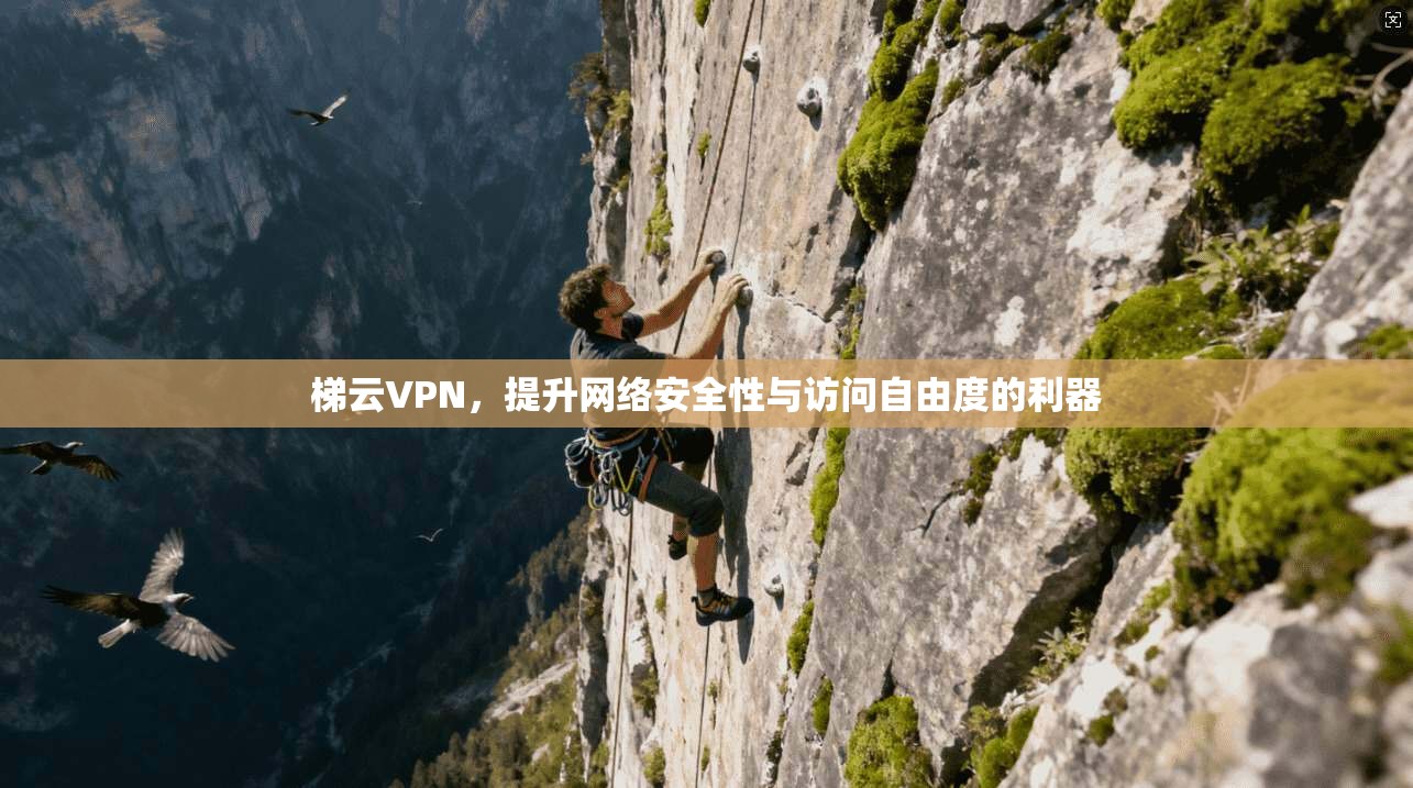 梯云VPN，提升网络安全性与访问自由度的利器