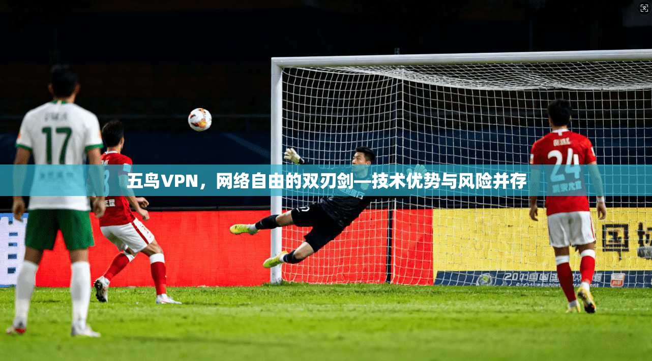 五鸟VPN，网络自由的双刃剑—技术优势与风险并存