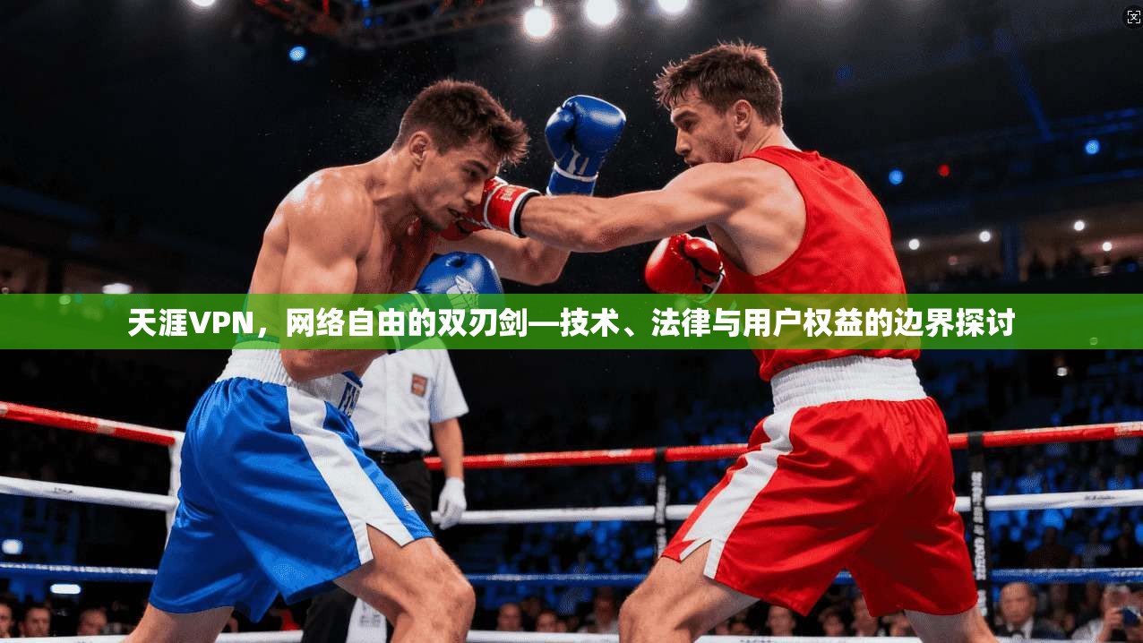 天涯VPN，网络自由的双刃剑—技术、法律与用户权益的边界探讨