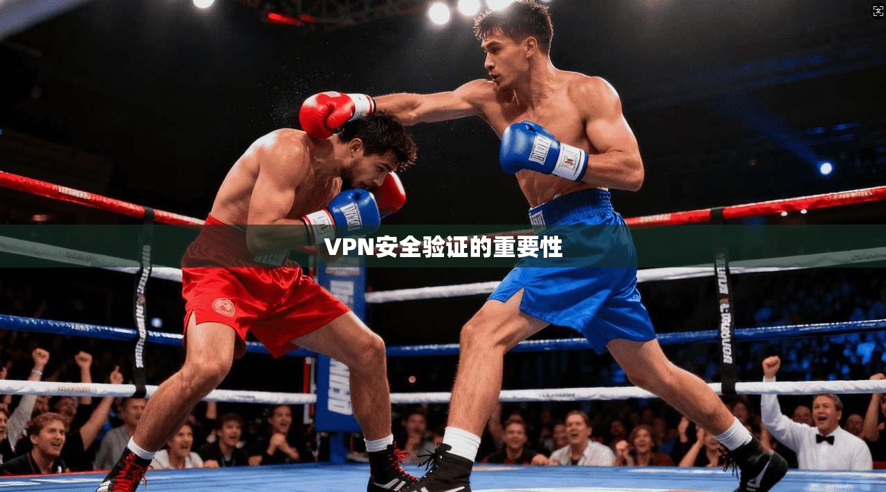 VPN安全验证的重要性