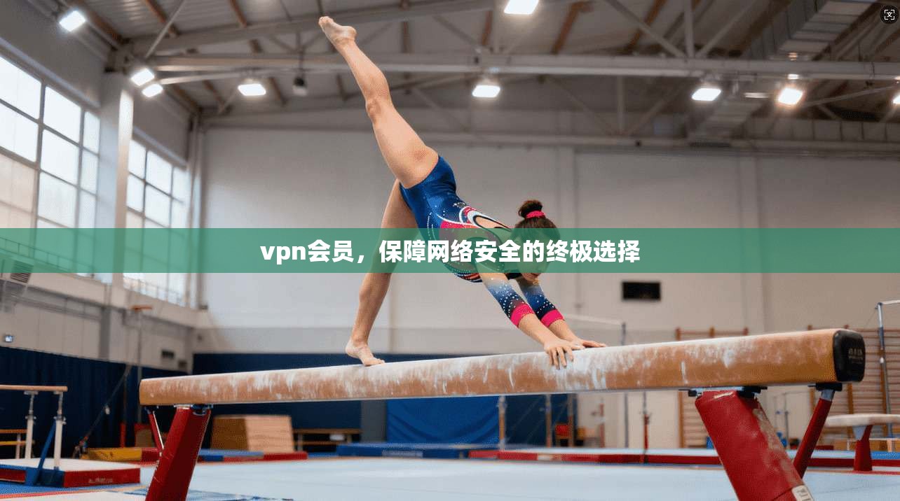 vpn会员，保障网络安全的终极选择