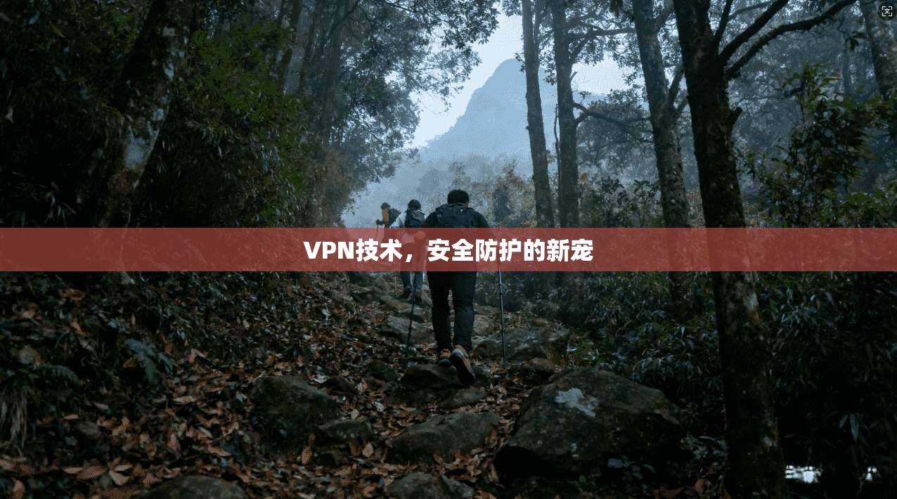 VPN技术，安全防护的新宠  第1张