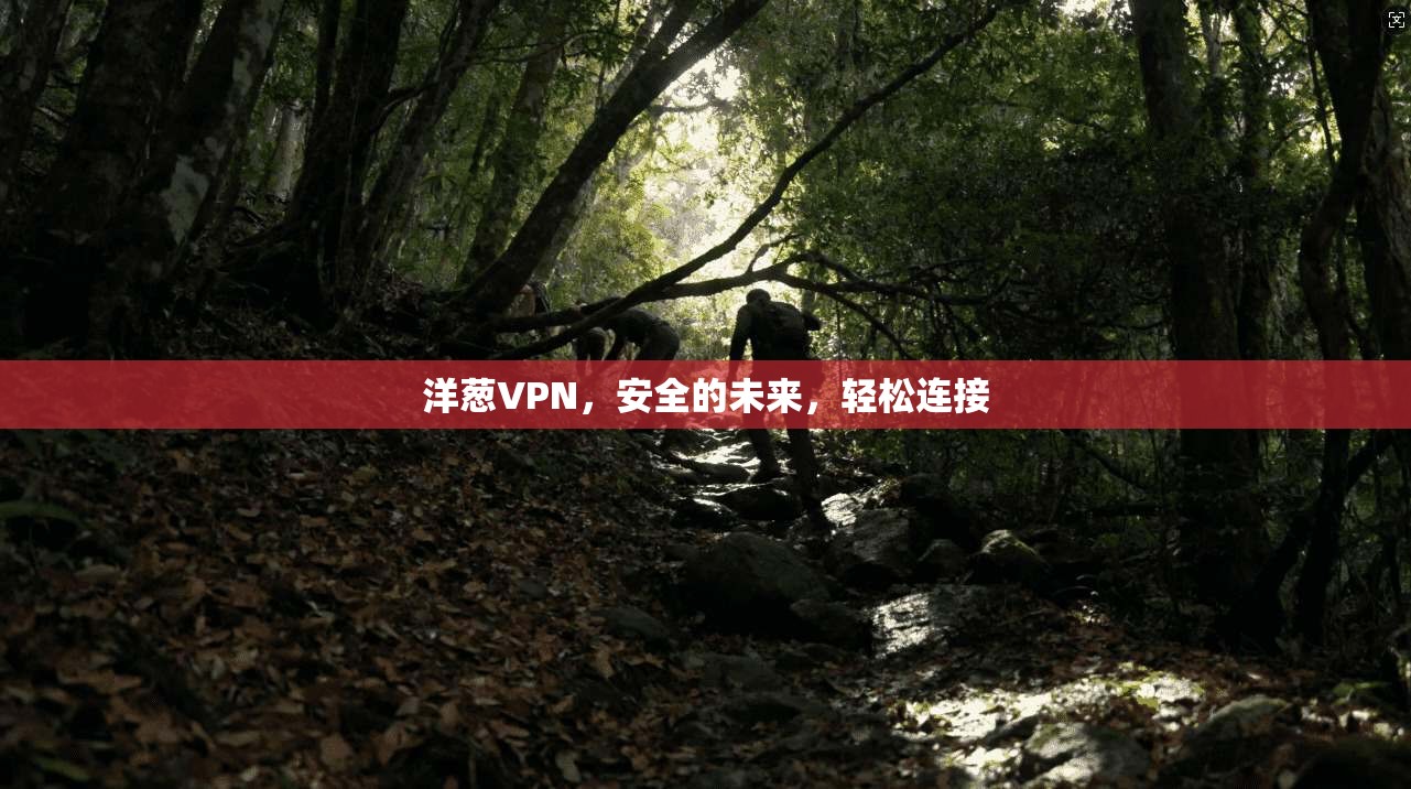 洋葱VPN，安全的未来，轻松连接