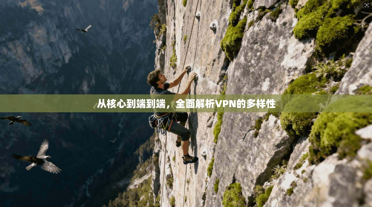 从核心到端到端，全面解析VPN的多样性