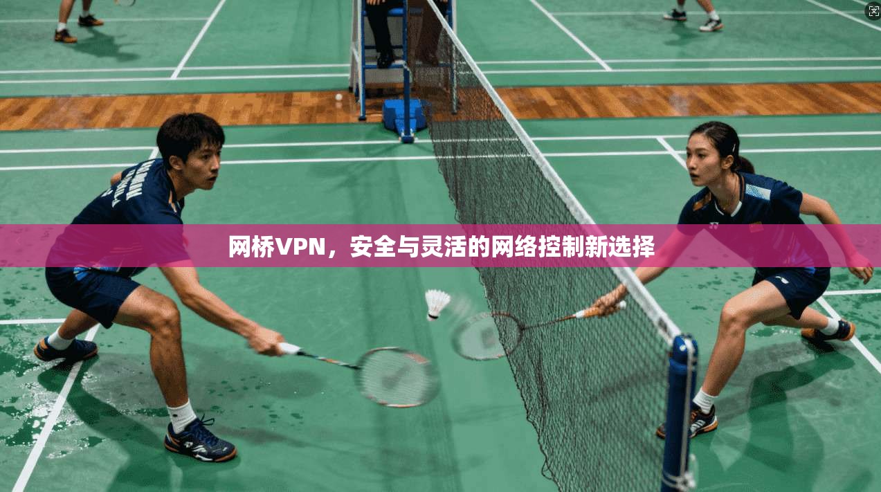 网桥VPN，安全与灵活的网络控制新选择