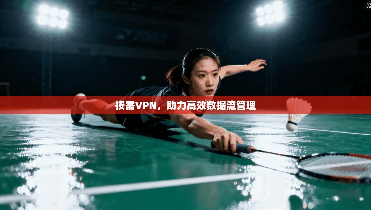 按需VPN，助力高效数据流管理