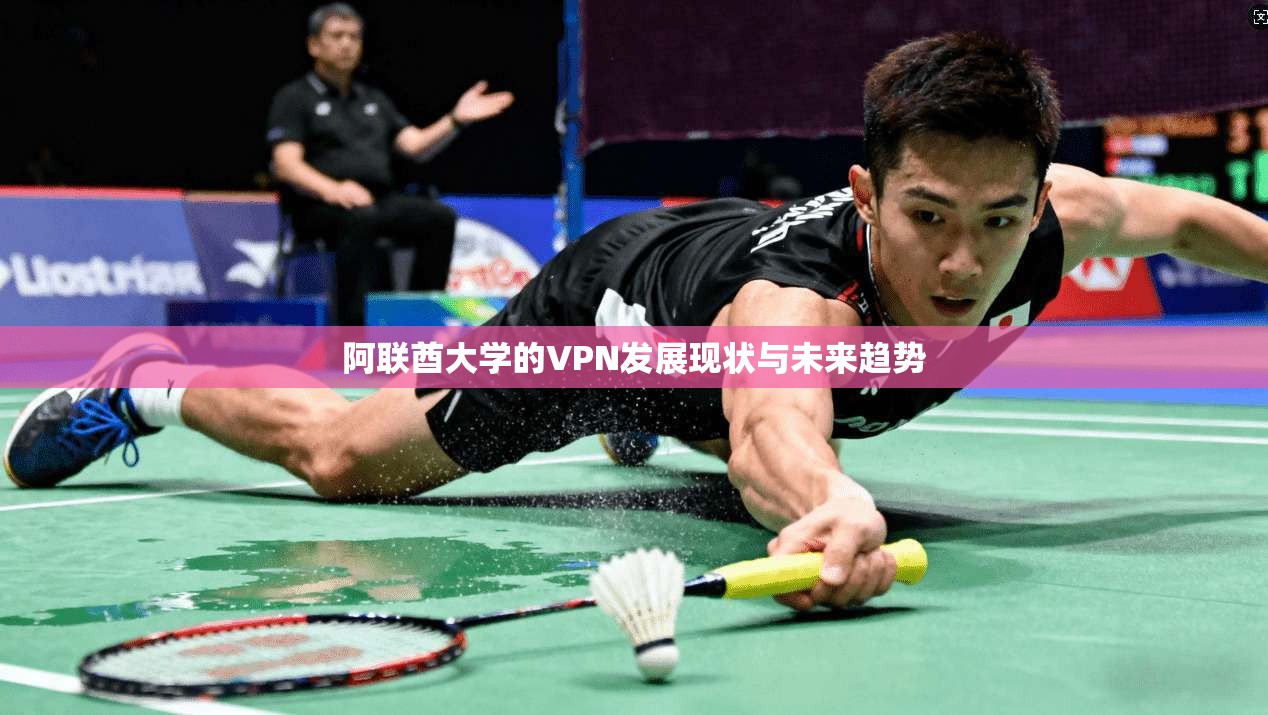 阿联酋大学的VPN发展现状与未来趋势