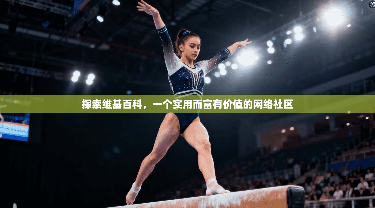 探索维基百科，一个实用而富有价值的网络社区