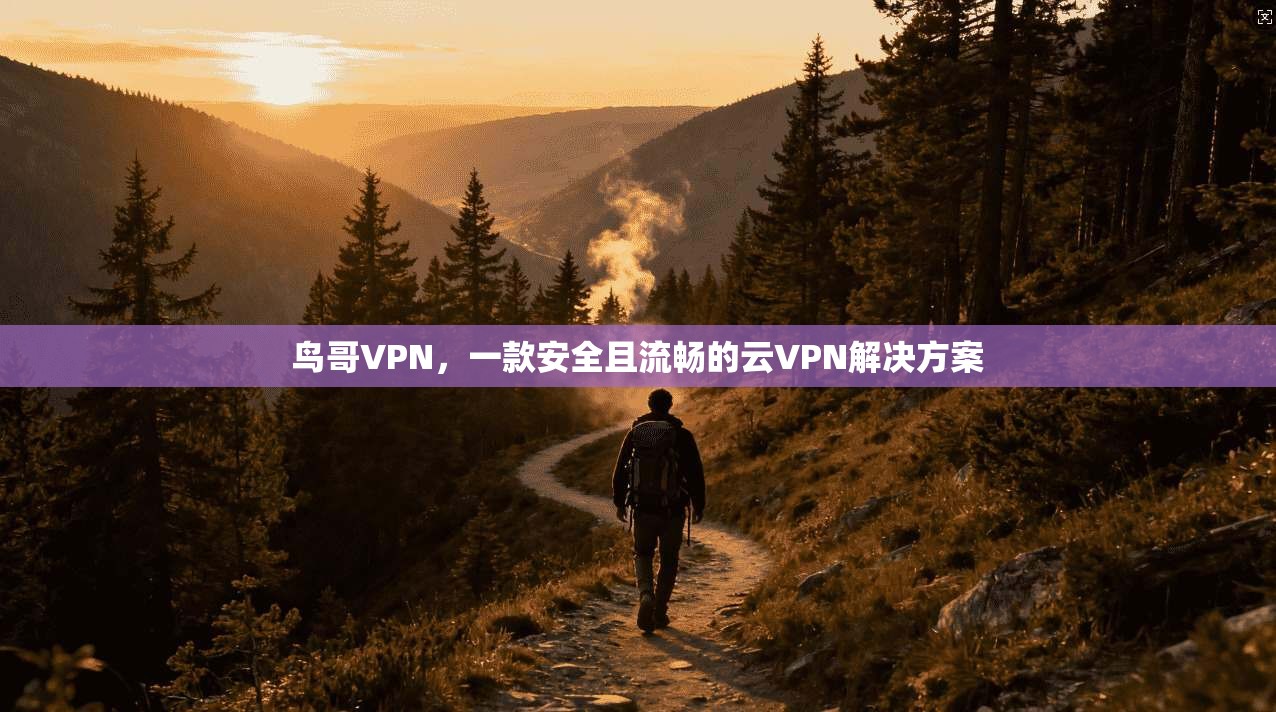鸟哥VPN，一款安全且流畅的云VPN解决方案