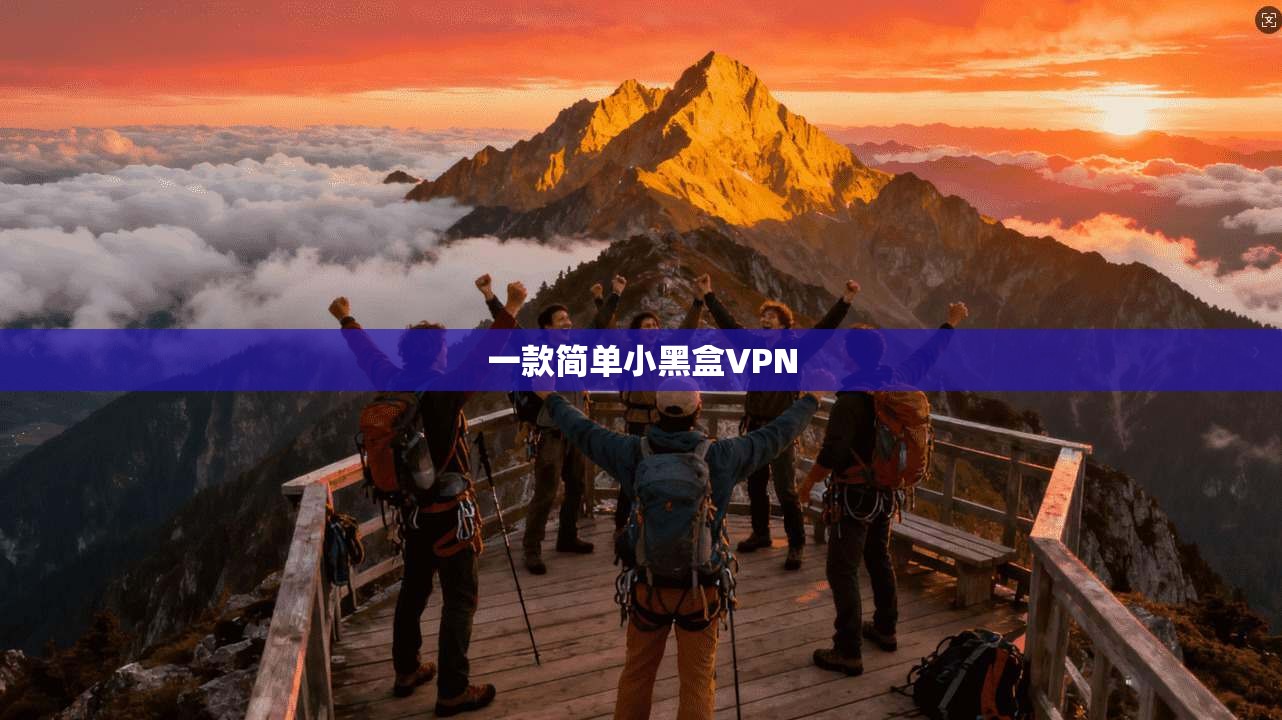 一款简单小黑盒VPN