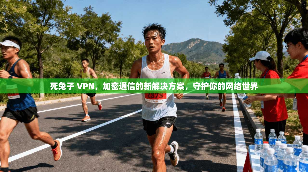 死兔子 VPN，加密通信的新解决方案，守护你的网络世界