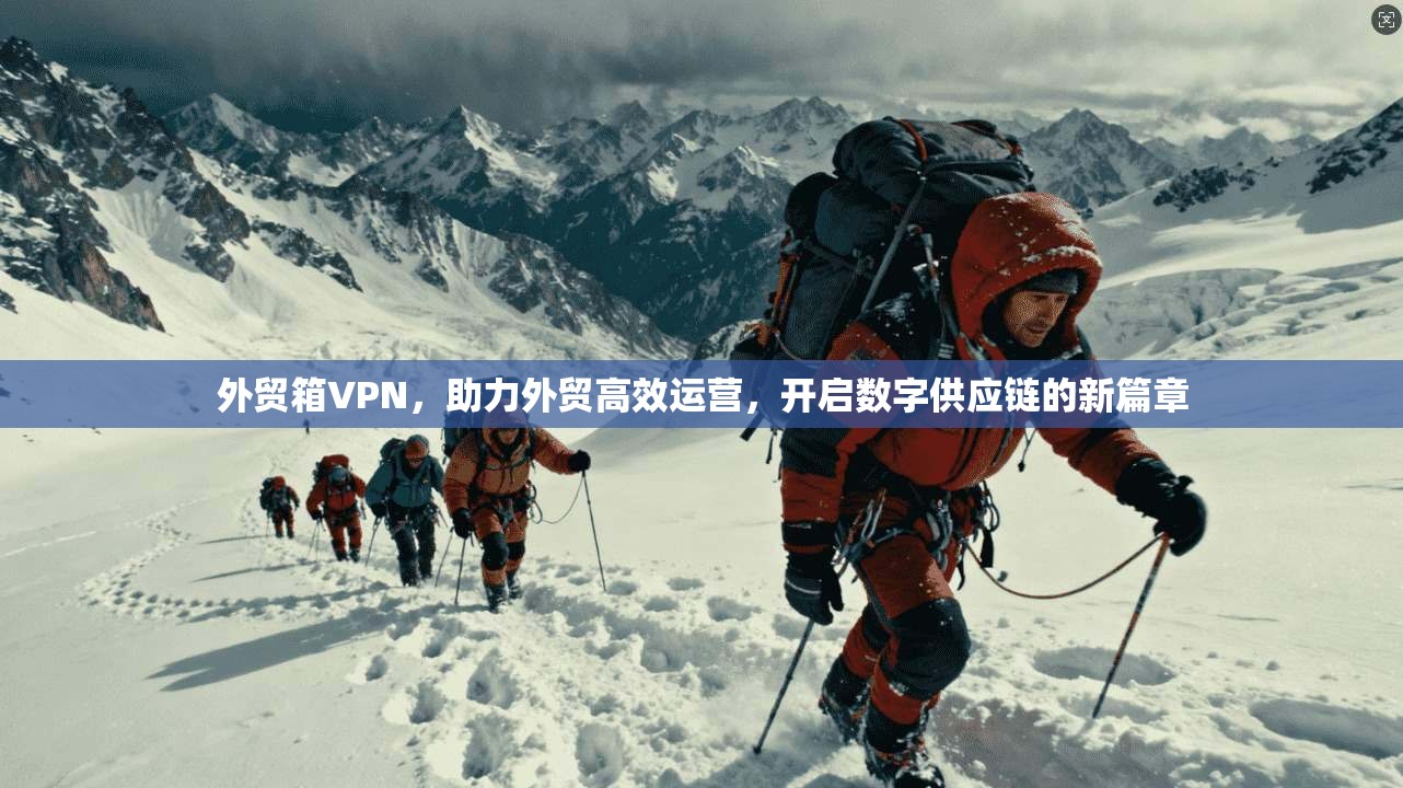外贸箱VPN，助力外贸高效运营，开启数字供应链的新篇章