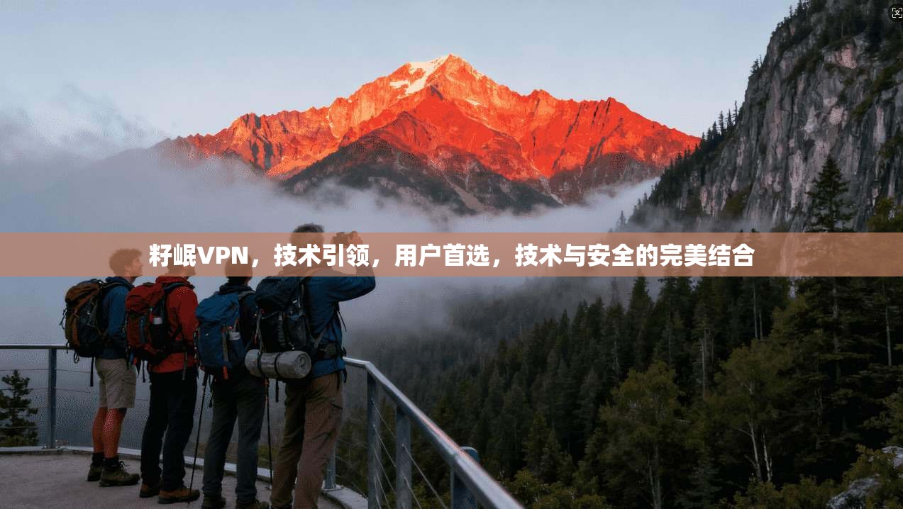 籽岷VPN，技术引领，用户首选，技术与安全的完美结合