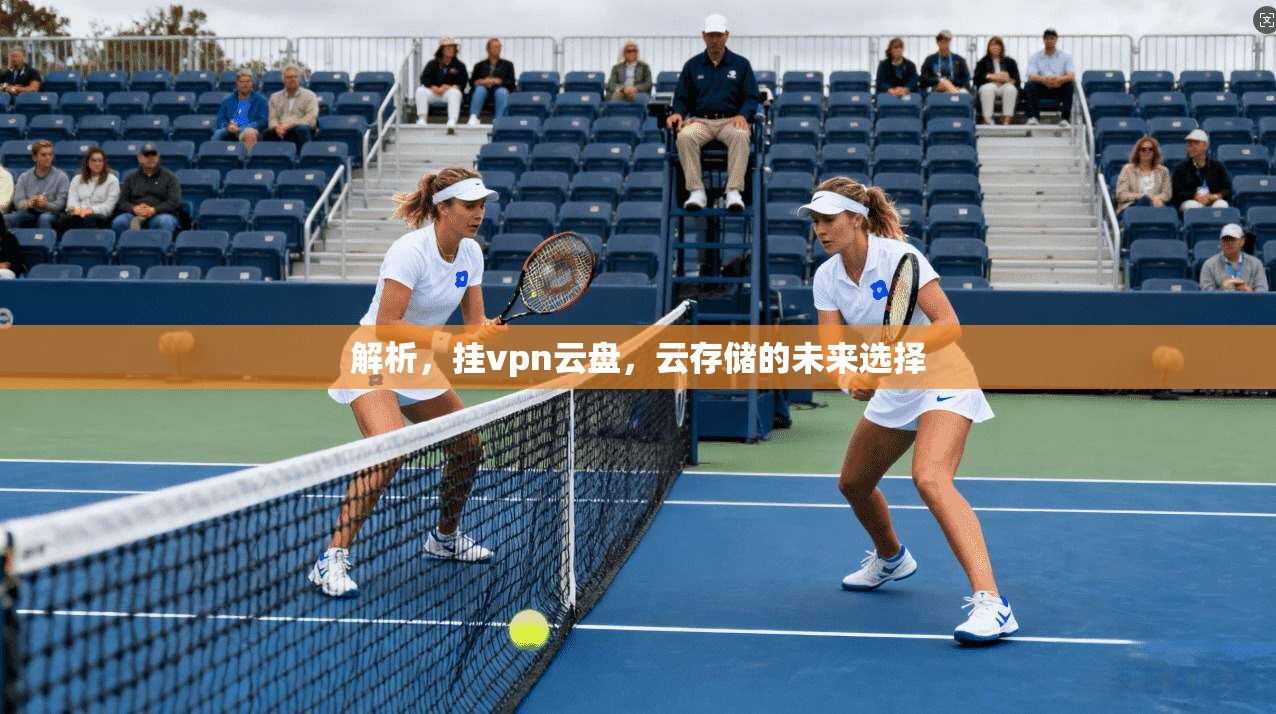 解析，挂vpn云盘，云存储的未来选择