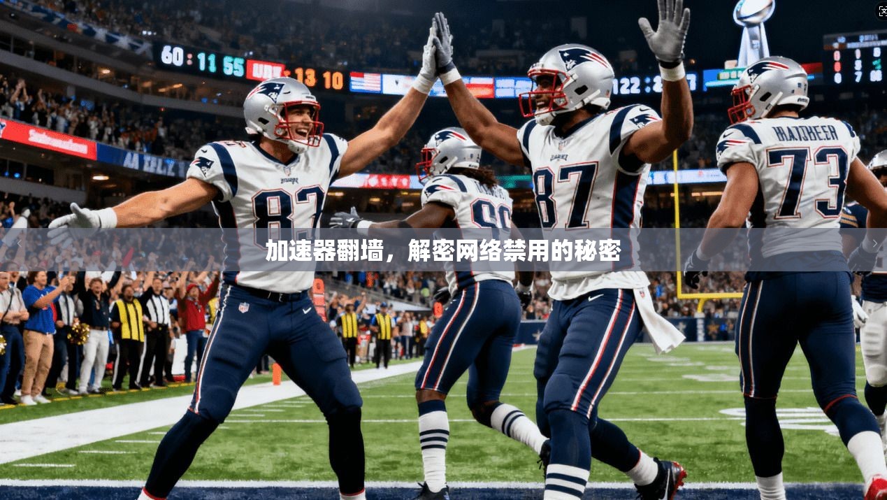 加速器翻墙,解密网络禁用的秘密