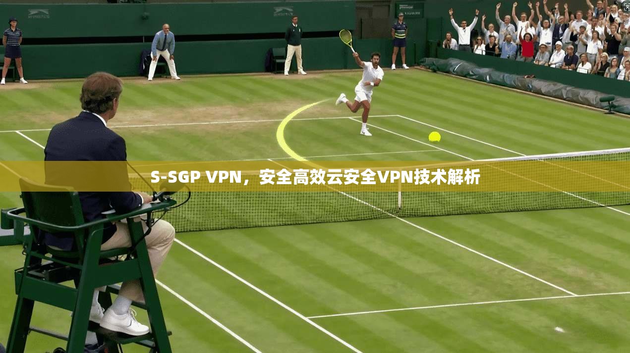 S-SGP VPN,安全高效云安全VPN技术解析