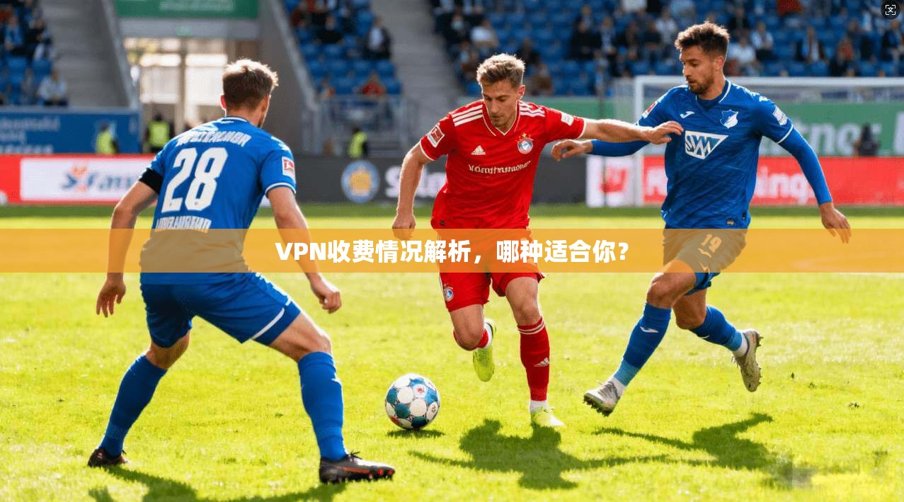 VPN收费情况解析，哪种适合你？