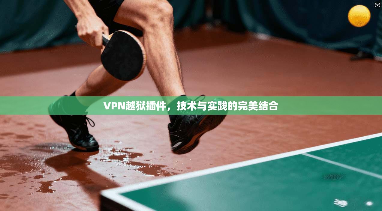 VPN越狱插件，技术与实践的完美结合