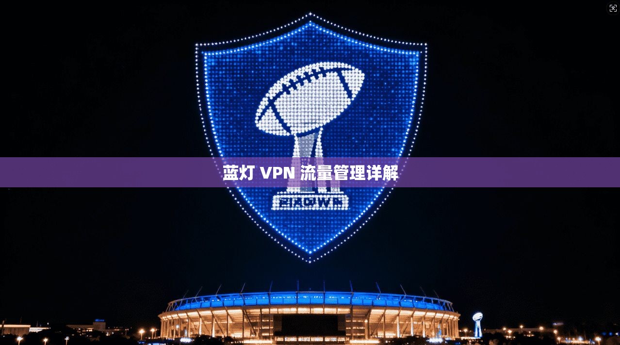 蓝灯 VPN 流量管理详解