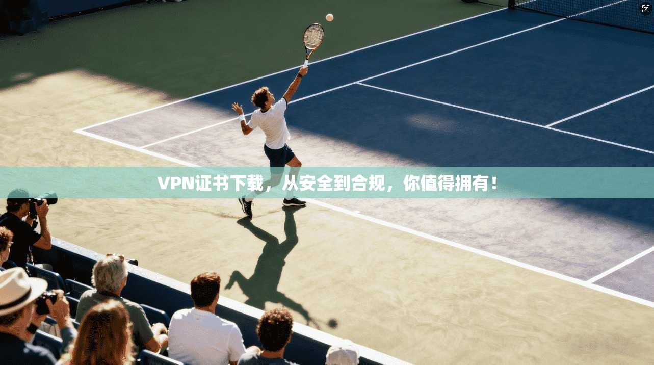 VPN证书下载，从安全到合规，你值得拥有！