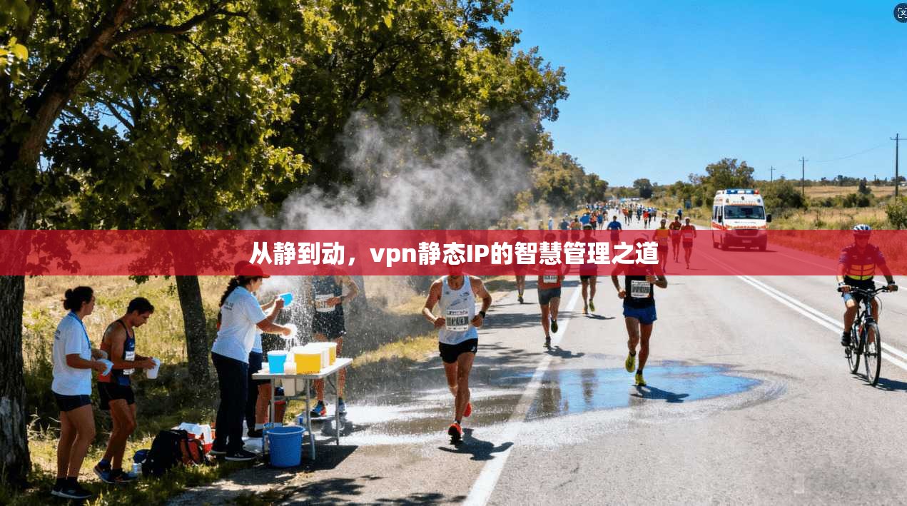 从静到动，vpn静态IP的智慧管理之道