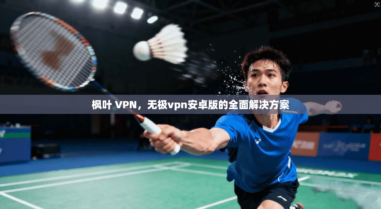 枫叶 VPN，无极vpn安卓版的全面解决方案