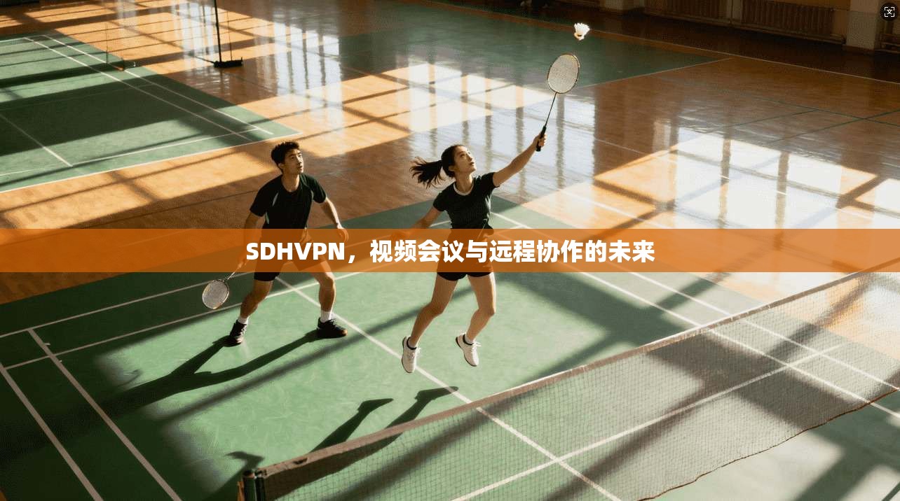 SDHVPN，视频会议与远程协作的未来