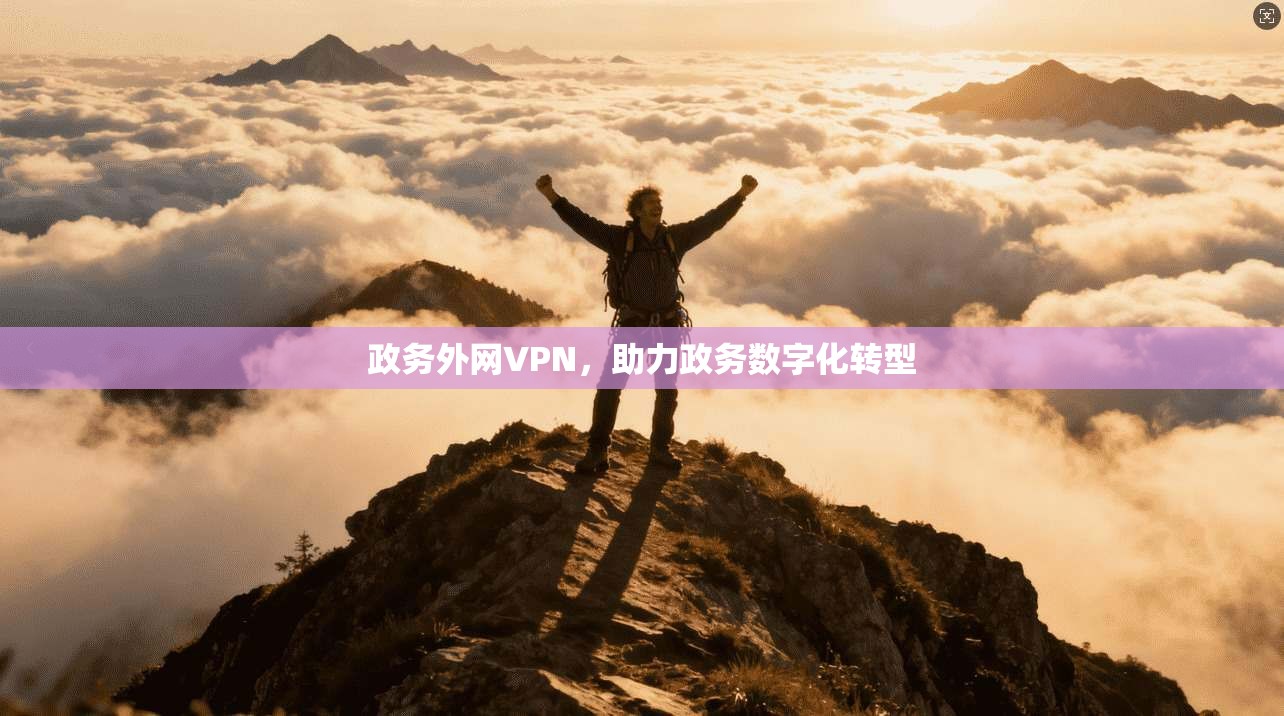 政务外网VPN，助力政务数字化转型