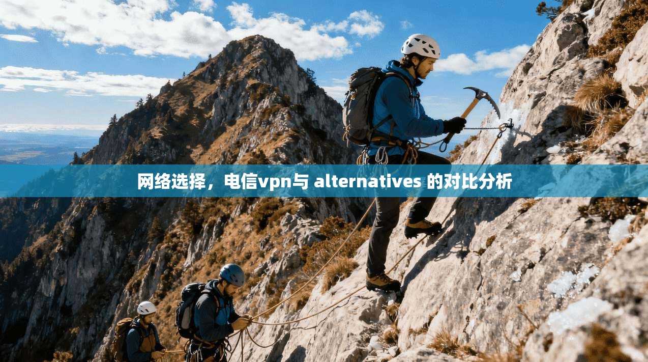 网络选择，电信vpn与 alternatives 的对比分析
