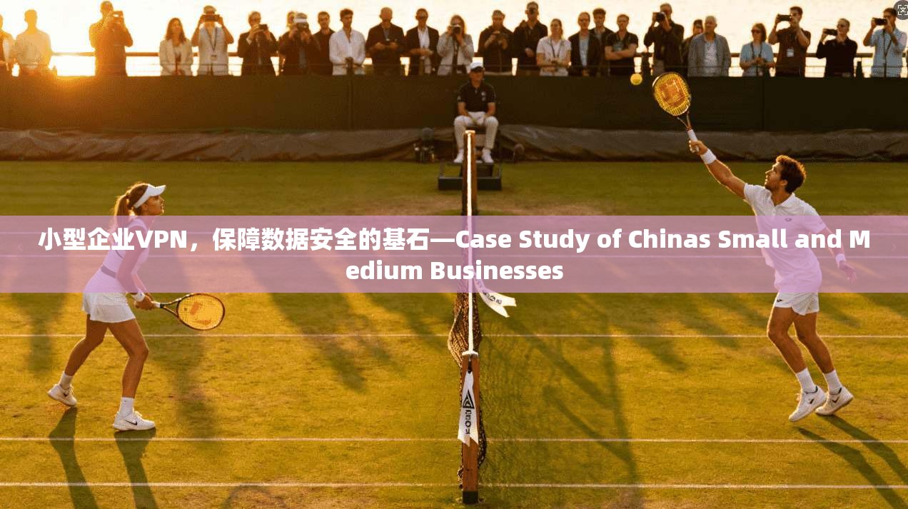 小型企业VPN，保障数据安全的基石—Case Study of Chinas Small and Medium Businesses