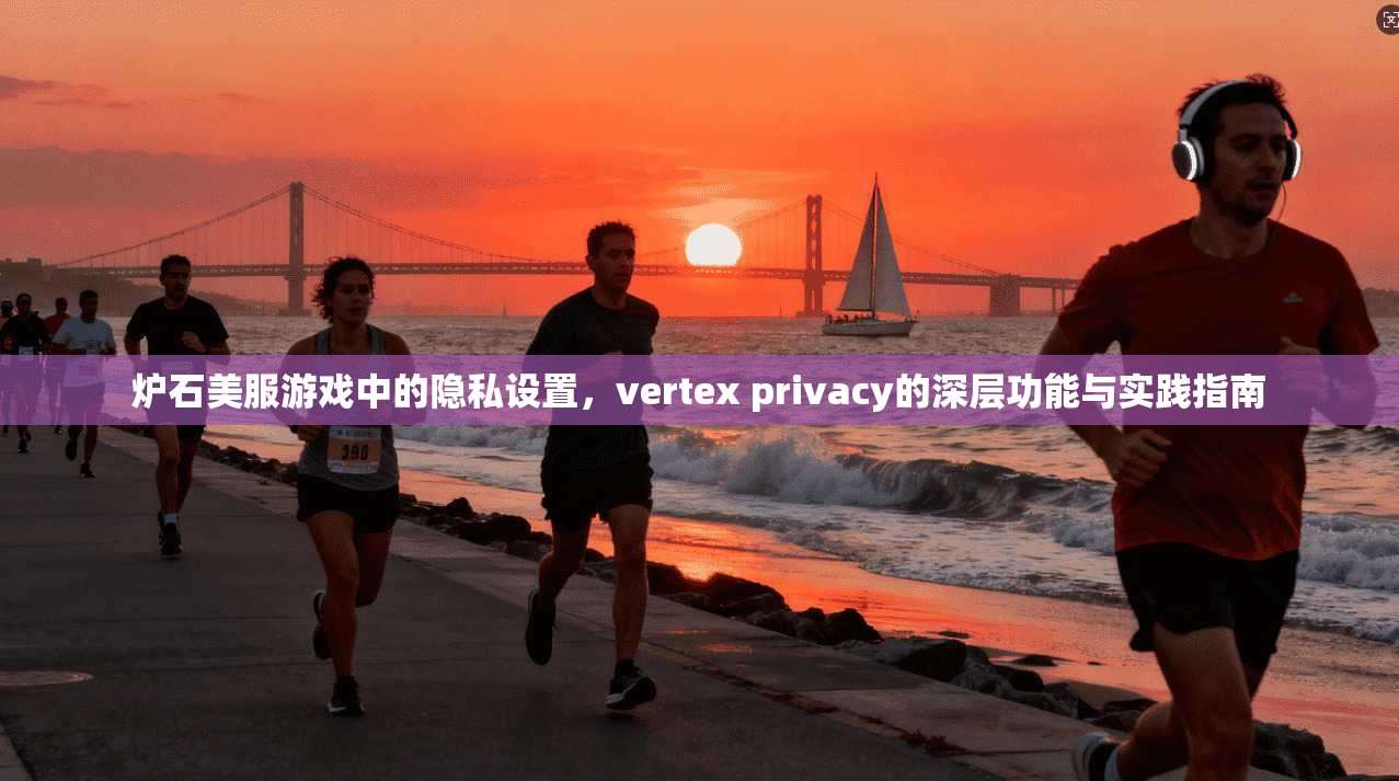 炉石美服游戏中的隐私设置，vertex privacy的深层功能与实践指南