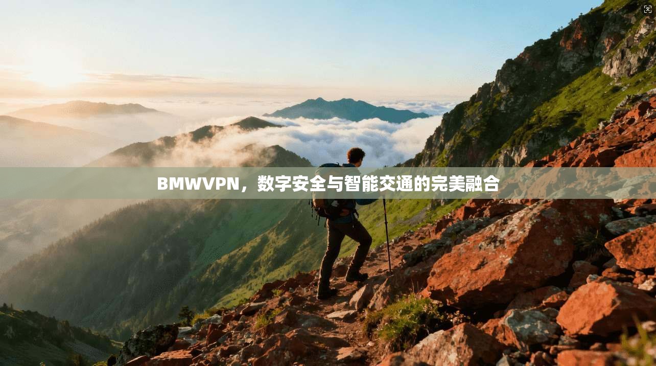BMWVPN，数字安全与智能交通的完美融合