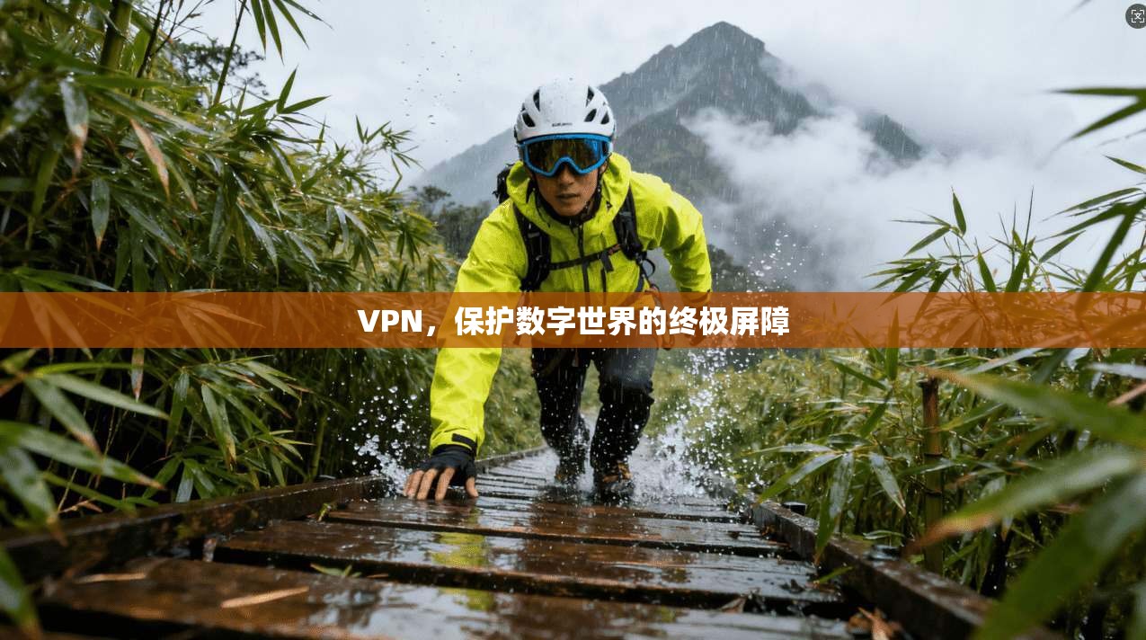 VPN，保护数字世界的终极屏障