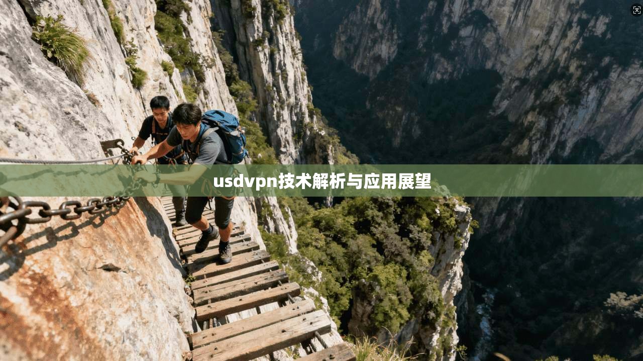 usdvpn技术解析与应用展望