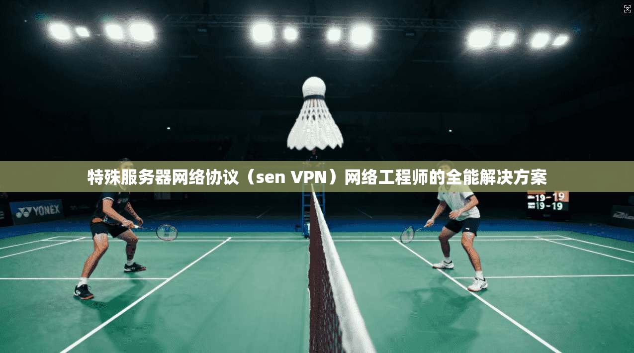 特殊服务器网络协议（sen VPN）网络工程师的全能解决方案