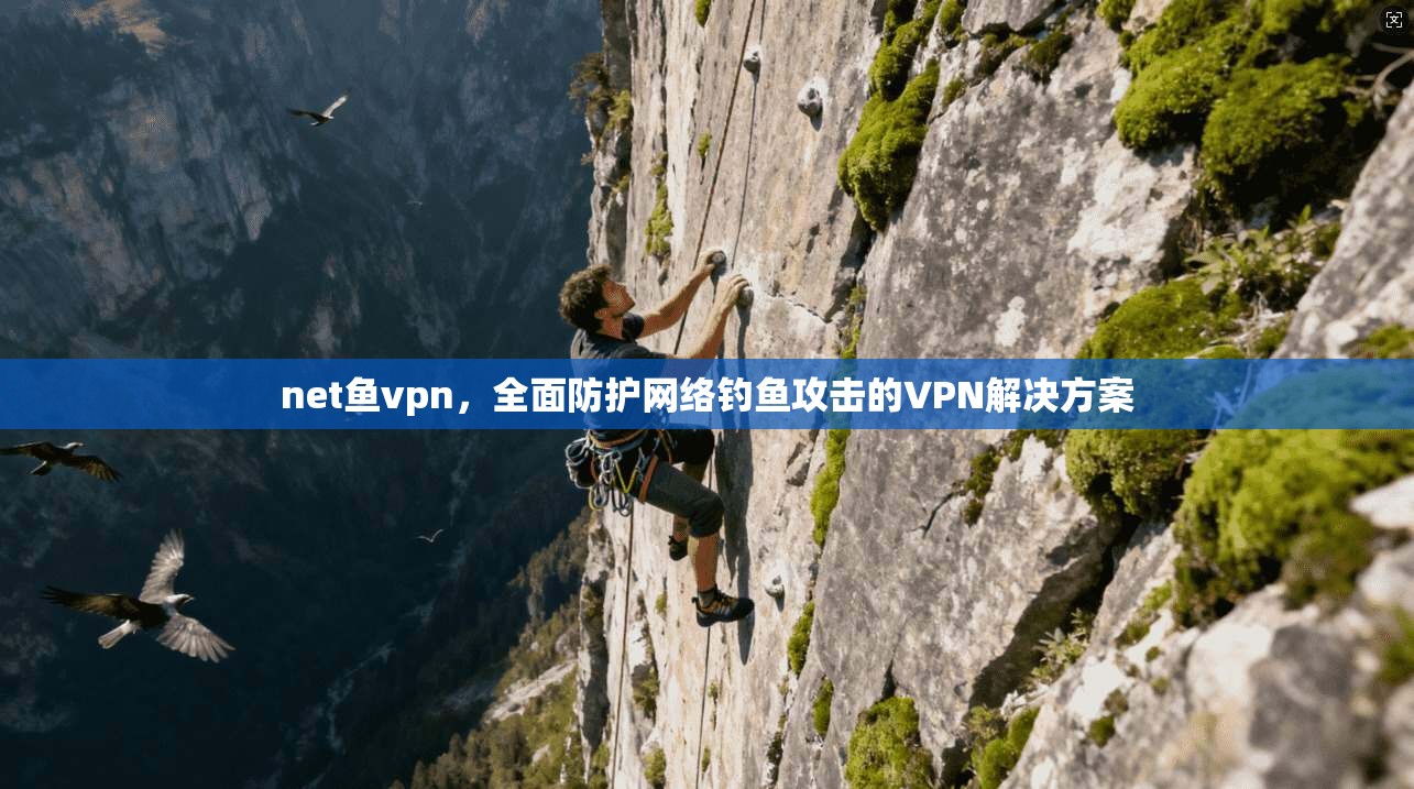 net鱼vpn，全面防护网络钓鱼攻击的VPN解决方案