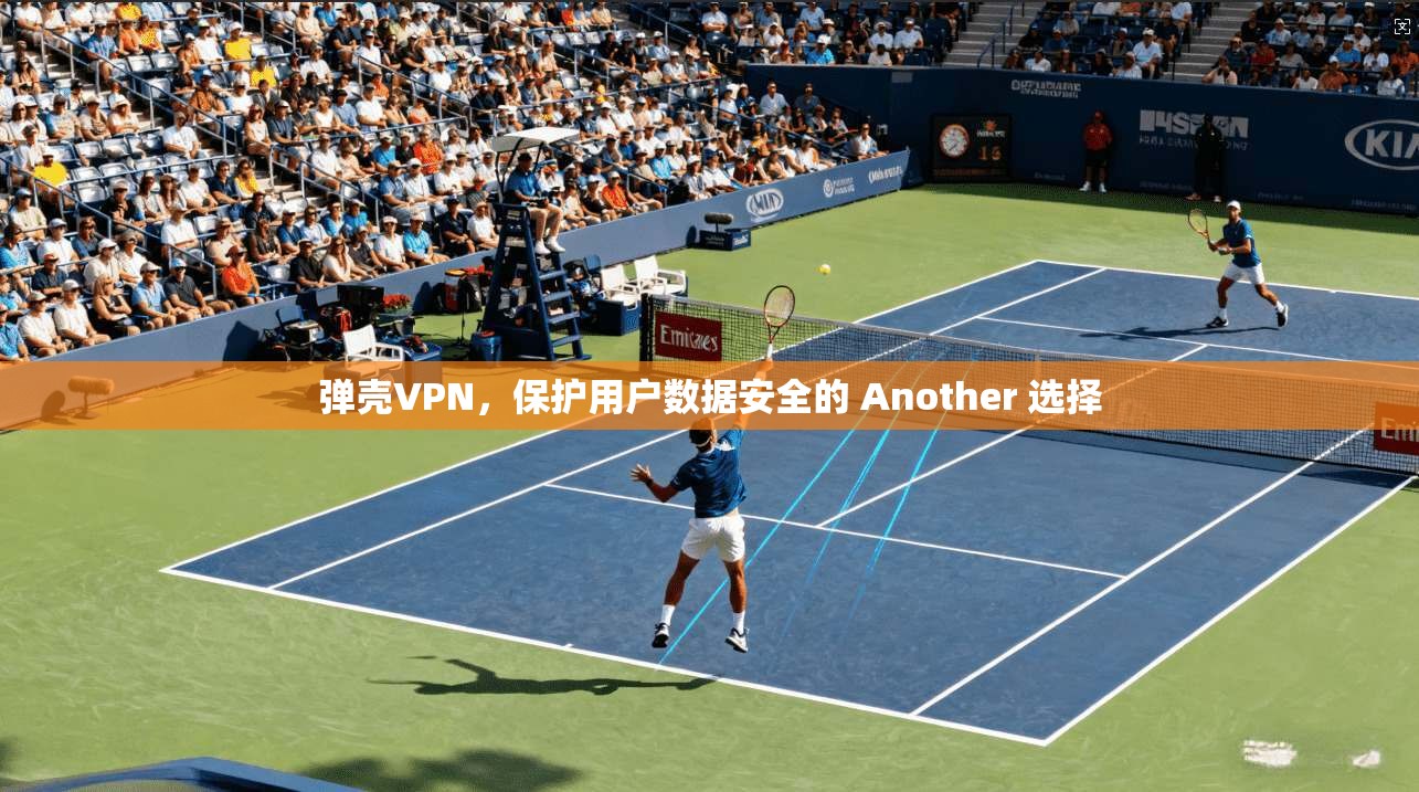 弹壳VPN，保护用户数据安全的 Another 选择  第1张