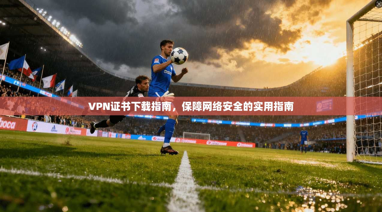VPN证书下载指南,保障网络安全的实用指南