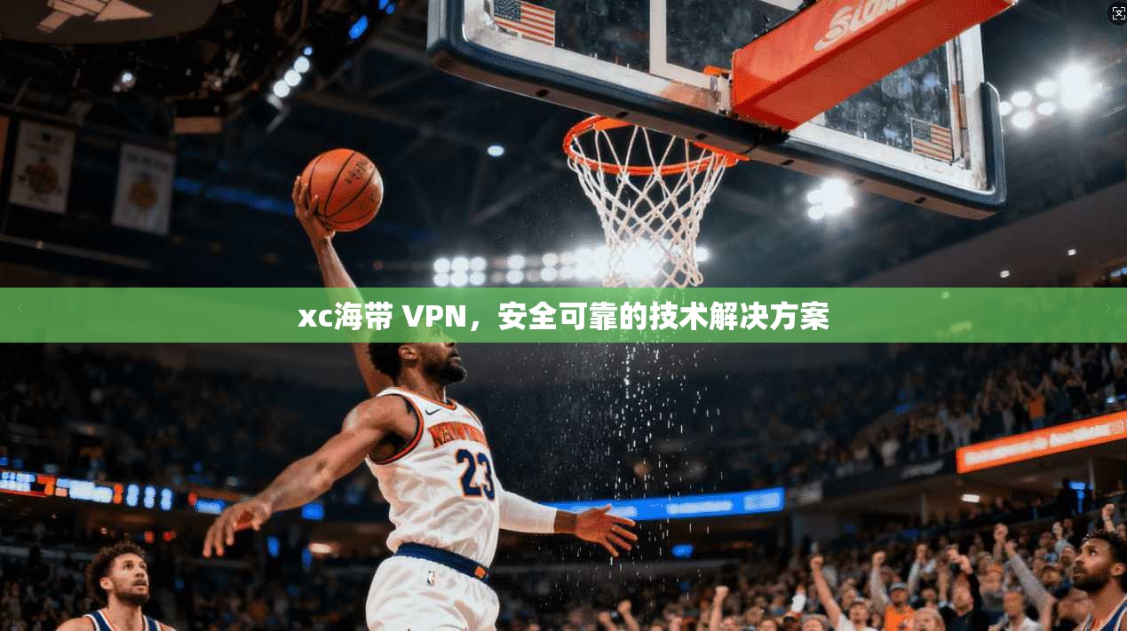 xc海带 VPN，安全可靠的技术解决方案