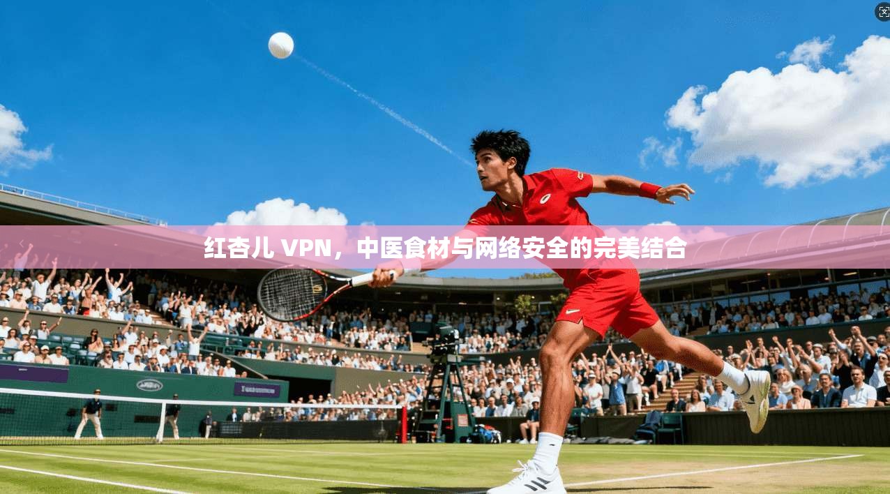 红杏儿 VPN，中医食材与网络安全的完美结合