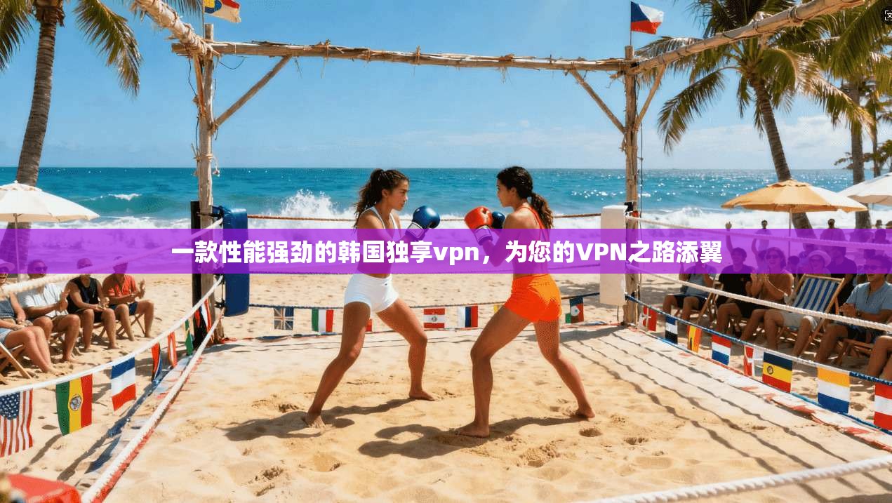 一款性能强劲的韩国独享vpn，为您的VPN之路添翼