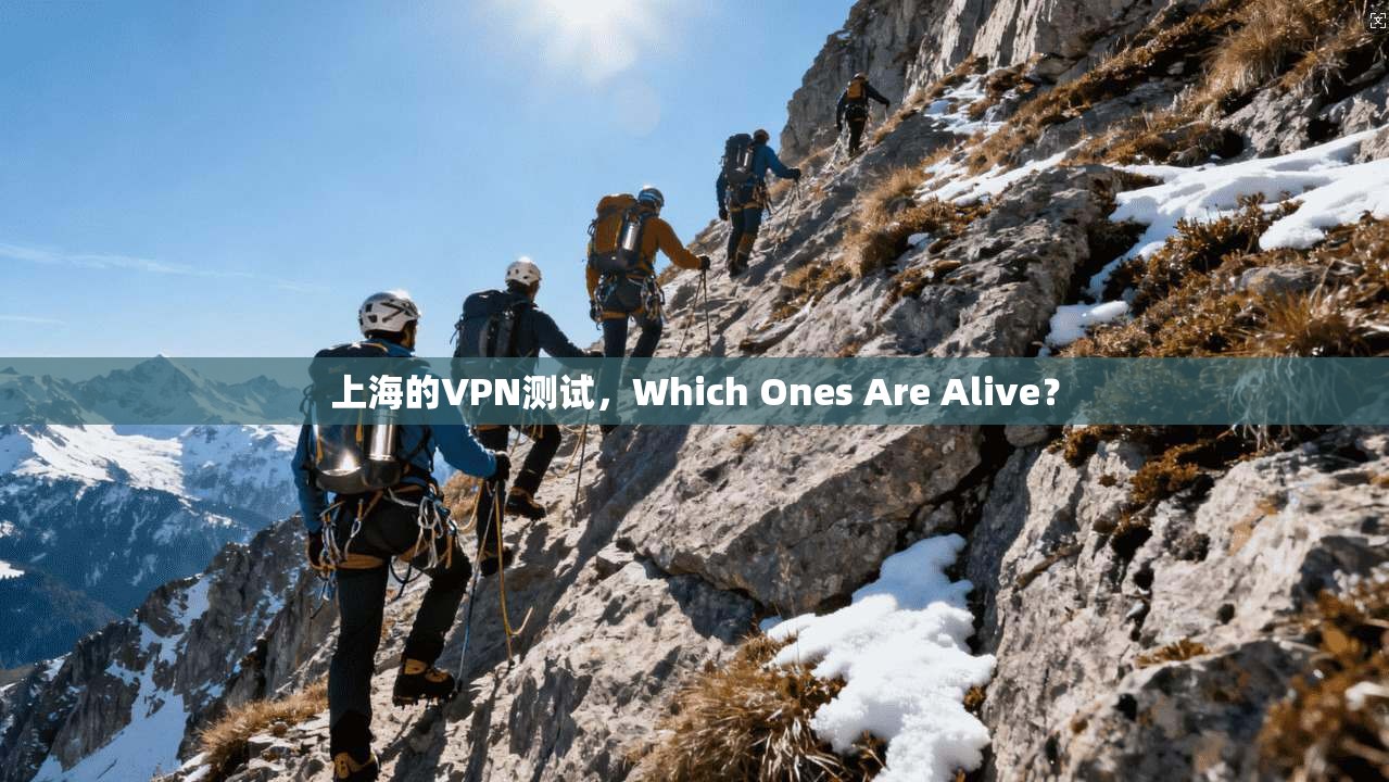 上海的VPN测试，Which Ones Are Alive？