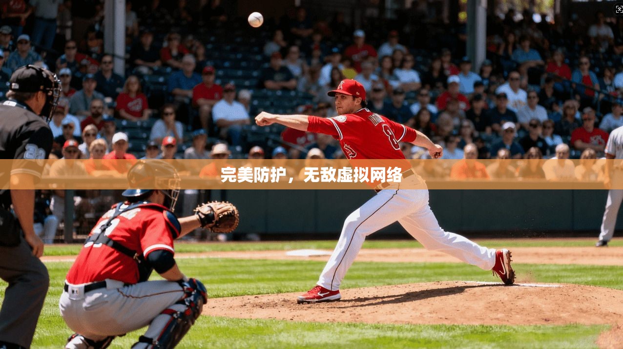 完美防护，无敌虚拟网络