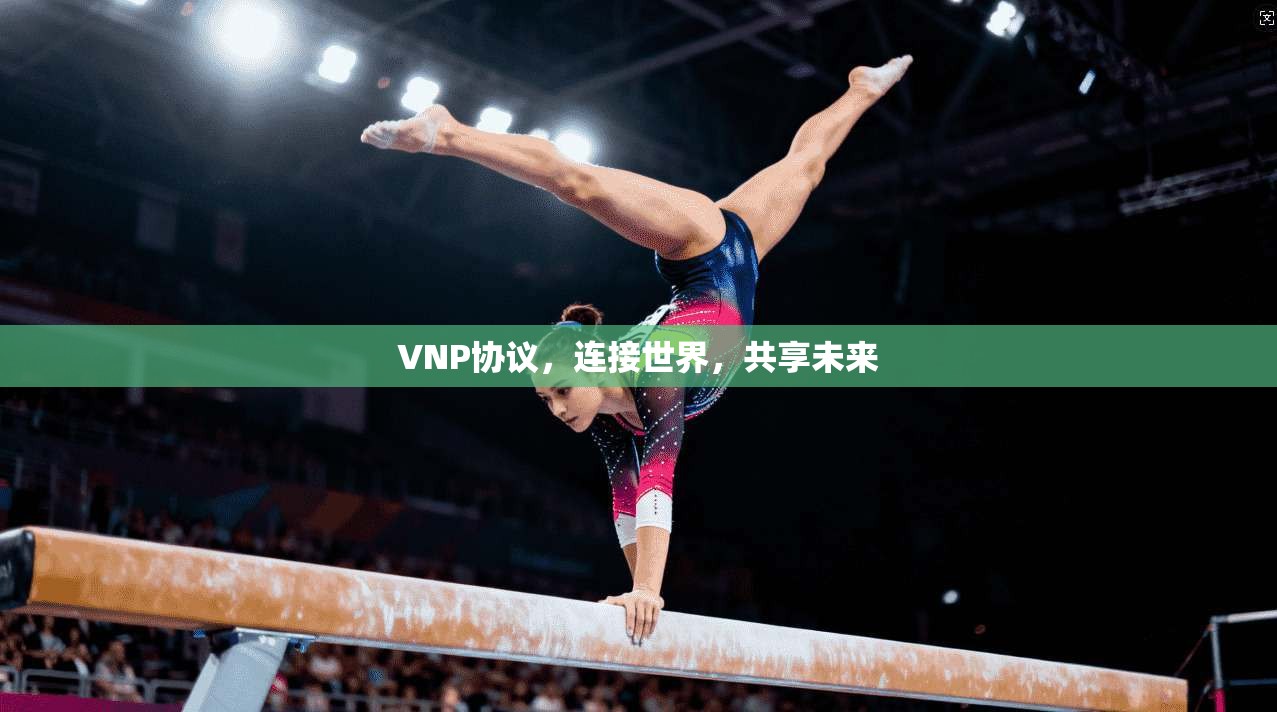 VNP协议,连接世界,共享未来 第1张 VNP协议,连接世界,共享未来 第1张