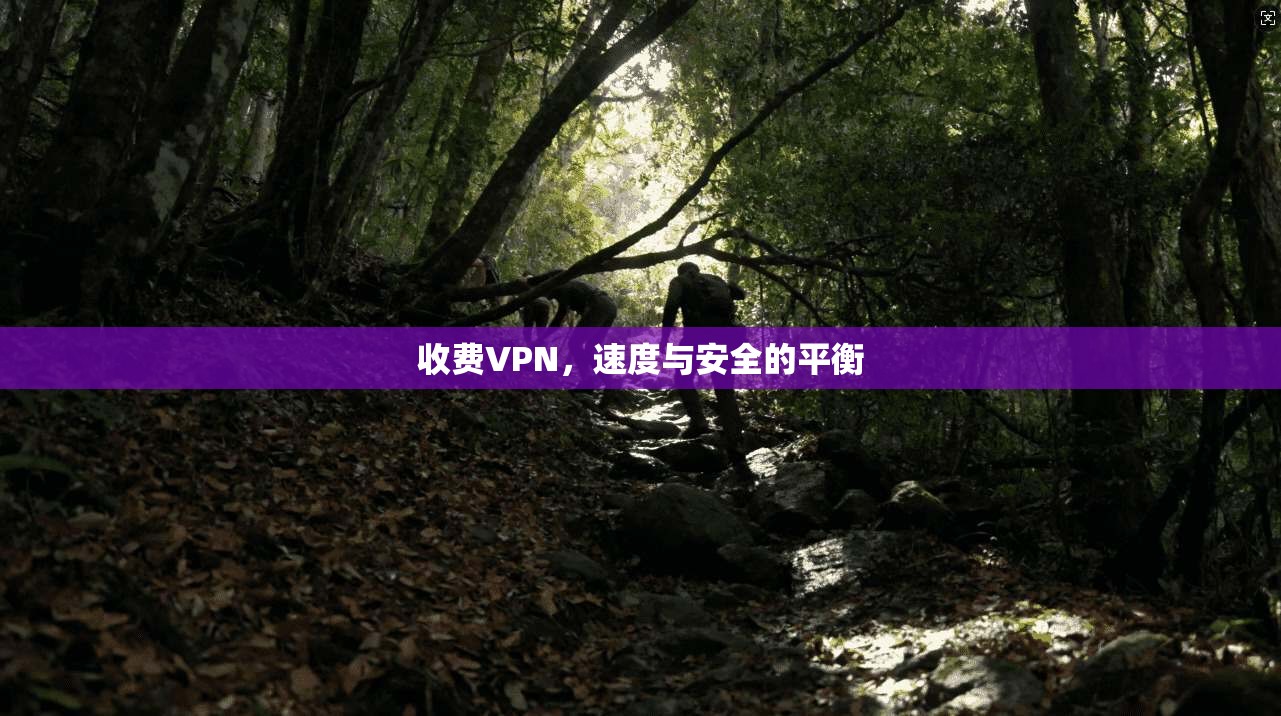 收费VPN，速度与安全的平衡